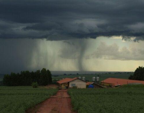  ex-ministro da Agricultura Blairo Maggi criticou nesta quinta-feira, 21, mudanças na legislação brasileira sobre garantia de recebimento de empréstimo por entidades privadas. Durante live transmitida pelo Projeto Mais Milho, ele disse ainda que o projeto de recuperação judicial do produtor rural está conturbando o ambiente do crédito rural. Saiba mais aqui.   4º Geada atinge milho, feijão, hortaliças e cana, diz Somar Meteorologia São Joaquim, Geada Foto: Mycchel Legnaghi  A massa de ar polar que atua no Centro-Sul do Brasil causou na manhã desta terça-feira, 26, geadas fracas em áreas de milho, feijão, cana e hortaliças. De acordo com a Somar Meteorologia, Palotina (PR), importante produtor de milho, registrou temperatura mínima de 3,3 ºC.  Em Toledo (PR), cidade produtora de milho, a mínima alcançou 3,1 ºC. Em Ponta Grossa (PR), áreas de feijão e hortaliças foram levemente afetadas, com 3,1 ºC de temperatura. Houve registro também em Ituverava (SP), com 3,4 ºC. Veja mais.   3º Auxílio emergencial pode ser transferido para PicPay sem custo  PicPay Para facilitar o uso auxilio emergencial cedido pelo governo federal em meio a crise da Covid-19, o PicPay, maior aplicativo de pagamentos online do Brasil, em parceria com a Caixa Econômica Federal, liberou a transferência do recurso da conta digital da Caixa para o PicPay.  Com custo zero, é possível ter múltiplas opções no aplicativo, como saque digital em bancos 24 horas, conforme calendário da Caixa, e transferência entre pessoas dentro do aplicativo. Leia a matéria completa aqui.  2° Previsão do tempo: veja como ficarão as chuvas e temperaturas em junho chuva forte, previsão do tempo Foto: Sistema Faep  O mês de junho será diferente no que diz respeito à distribuição de chuvas no Brasil, segundo a previsão do tempo. A meteorologista Desirée Brandt, da Somar, lembra que maio foi marcada por chuvas irregulares na região Sul, que só voltaram de forma mais significativa na segunda metade do mês.  Os mapas meteorológicos projetam chuva acima da média no Rio Grande do Sul no próximo mês. Desirée ressalta que não será uma mudança de uma hora para outra. O estado até deve registrar uma precipitação na segunda-feira, 1º, mas ela ainda não vai se consolidar. Depois do dia 10 é que as chuvas devem ficar mais concentradas na região. Confira a previsão completa.   1º  Tempo: veja o que a meteorologia prevê para o mês de junho Chuva clima tempo Foto: Pixabay  As ondas de frio chegaram antes neste ano e para junho, há a previsão de pelo menos mais duas entradas de massa de ar polar mais intensas. A variação da temperatura vai fazer com que, em média, se tenha um mês com anomalia positiva, temperatura acima do normal, em todo o Sul, São Paulo, Triângulo Mineiro, Centro-Oeste e Norte do Brasil.  PUBLICIDADE  No entanto, isto não quer dizer que não vai fazer frio. Nas outras áreas, junho terá os termômetros indicando temperaturas dentro da climatologia.  As poucas áreas com temperatura abaixo da média estarão associadas com excesso de nuvens e umidade no Nordeste e parte do Sudeste que vão apresentar baixa amplitude térmica ou madrugadas mais frias pela baixa umidade relativa do ar no Centro-Oeste. As ondas de frio de junho já não aparecem com a mesma intensidade de maio. Inclusive, há previsão de mínimas bem mais elevadas que o normal em meados de junho no Sul, Sudeste e Centro-Oeste. Veja a previsão completa, aqui! 