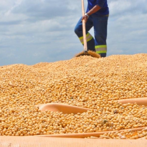 Foto: Petrônio Viana/ Governo de Alagoas