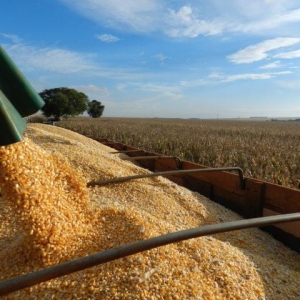 Foto: Governo de Minas Gerais