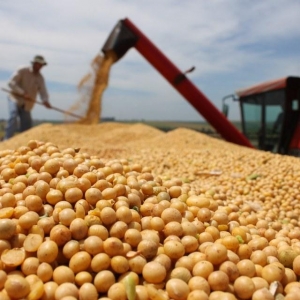 O Cepea reforça que o Brasil precisará de demanda aquecida para equilibrar a produção recorde. Foto: Arquivo/Agência Brasil