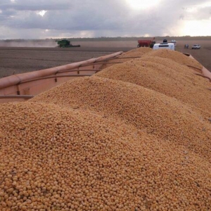 Foto: Pedro Silvestre/ Canal Rural