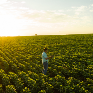 Foto: Climate FieldView/ Divulgação