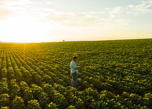 Foto: Climate FieldView/ Divulgação